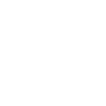 tiktok icon